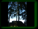 Gallery Preview